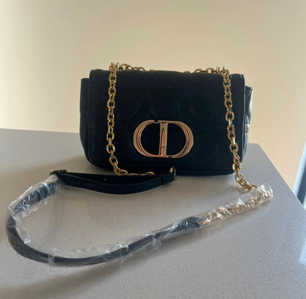 Special Gift Christian Dior Bag