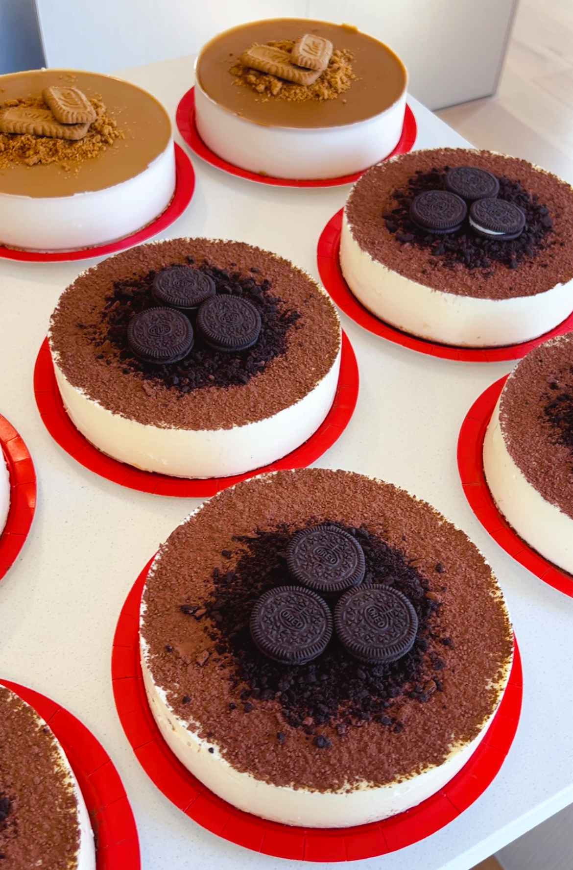 Special Bulk Order Wholesale Price