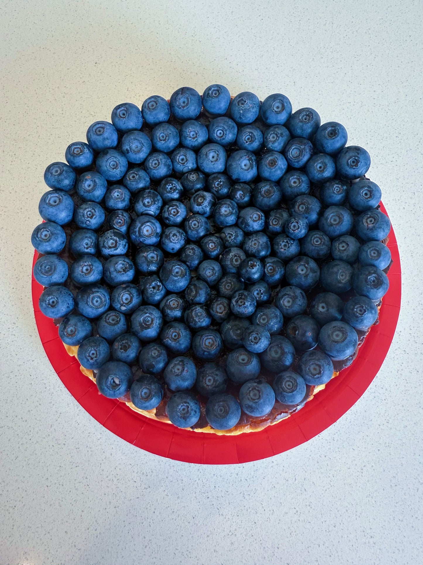 Basque Blueberry Cheesecake XL