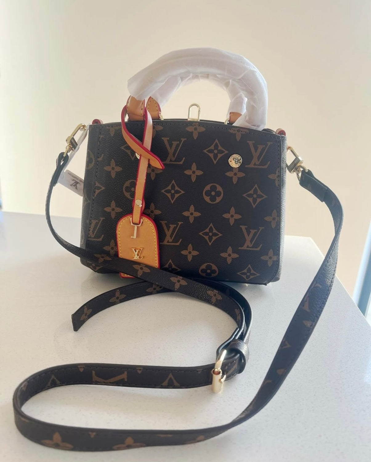 Special Gift Louis Vuitton Bag