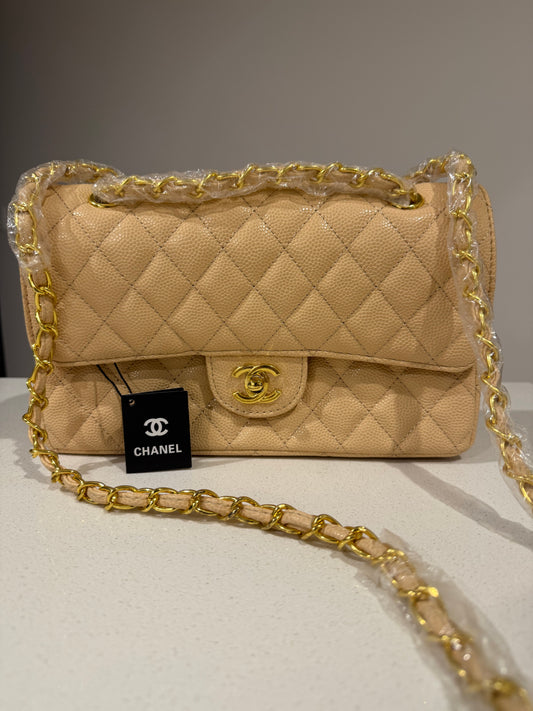 Special Gift Chanel Bag